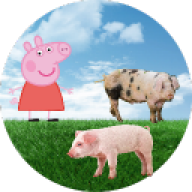 Pig