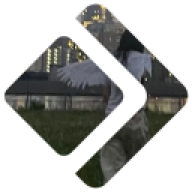 cxvsil