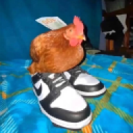 Gigglewiggle