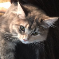 lost