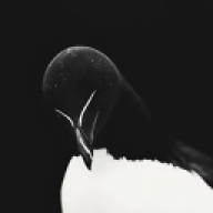LXRZ