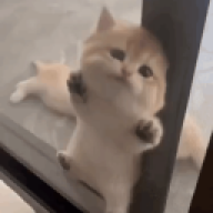 kdjjfrt