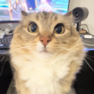 elol
