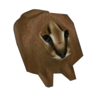 Timothy