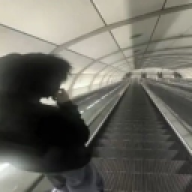 kodaaaaaaaa