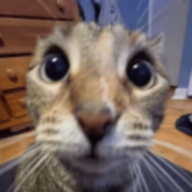 AxelPi