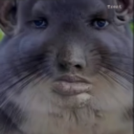 Davenugetts