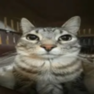 dakerif
