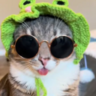 GlitchedDaKittyCat