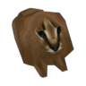 Timothy