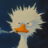 PATO12