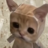 no_oner