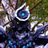 AgentMiguelPLAYZ