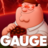 gauge222