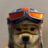 xyndagoat
